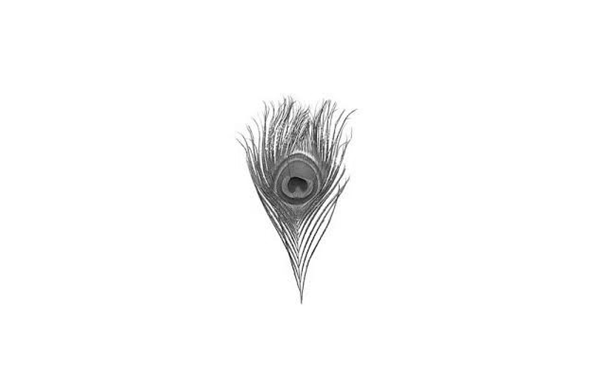 1468480232945363.png 7.png